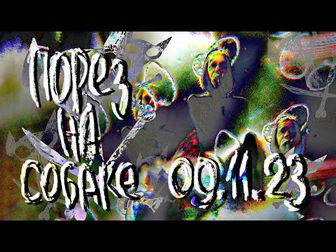 Видео: Порез На Собаке — 1930 Moscow (09.11.2023)