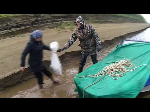 Видео: Рыбалка.Ряпушка супер улов..