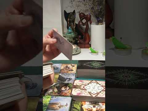 Видео: Тайны полнолуния🤫😱🫣🤯🤷‍♀️