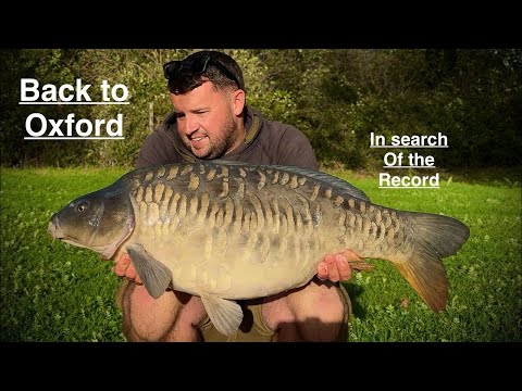 Видео: Ловля карпа в Оксфорде, поиски рекордного карпа продолжаются!!