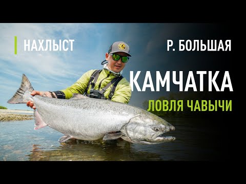 Видео: КАМЧАТКА, ловля ЧАВЫЧИ с берега. ТАКТИКА ловли, правильная ПРОВОДКА и рабочие мушки.