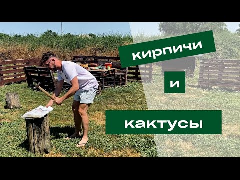 Видео: сажаем КОМПОЗИЦИЮ из КАКТУСОВ