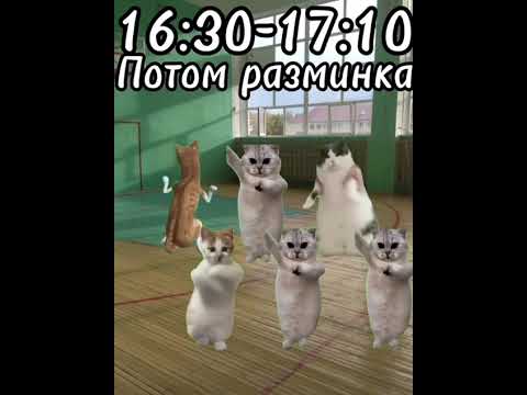 Видео: Рил: Мой обычный день вторник 📔. Футажи в моём телеграм канале.