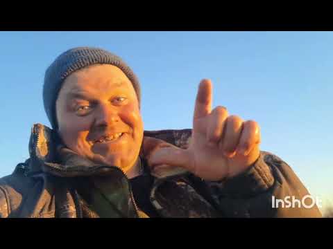 Видео: Рыбалка в Волгоградской области . Видео из архива