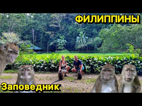 Видео: Эко парк | Заповедник обезьян | Бохоль | Филиппины 2023 | Жизнь на острове