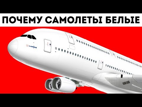 Видео: Почему самолеты почти всегда белые
