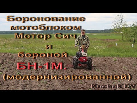 Видео: Боронование картофеля мотоблоком Мотор Сич и модернизированной бороной Мотр Сич БН-1М.