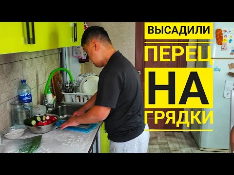 Видео: ПРИЕХАЛ ЛЕША / ДЕНЬ ПРОЛЕТЕЛ НЕЗАМЕТНО @ShindrMindr_Official