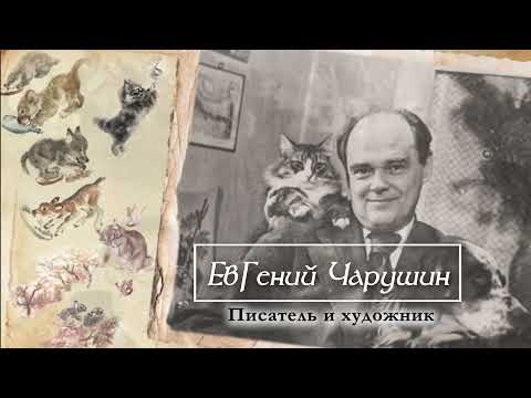 Видео: Евгений Чарушин: писатель и художник