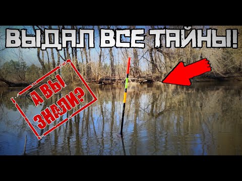 Видео: СЕКРЕТНЫЙ СПОСОБ НАЛОВИТЬ МНОГО на течении! Тайны рыбалки 2025.