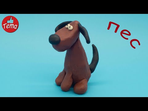 Видео: Как слепить собаку Собака из пластилина Животные из пластилина Лепим собаку Из пластилина Для детей