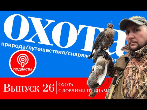 Видео: Выпуск 26. Охота с ловчими птицами.