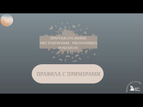 Видео: #9 Испанский тренажёр для начинающих. Притяжательные местоимения. Строим предложения.