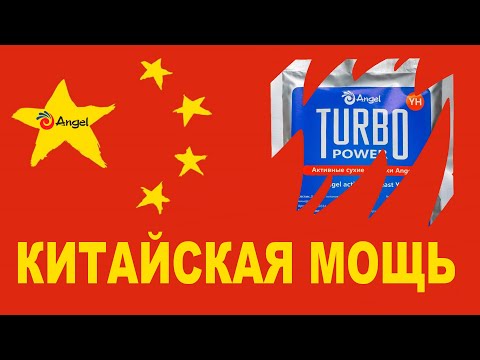 Видео: Брожение на высших оборотах: обзор дрожжей Angel. Практика  для последующей сдачи пробы СС на ГХА.