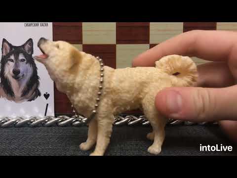 Видео: Моя коллекция фирменных фигурок собак)