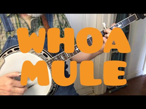 Видео: Научитесь играть на банджо «Whoa Mule Whoa» (блуграсс)