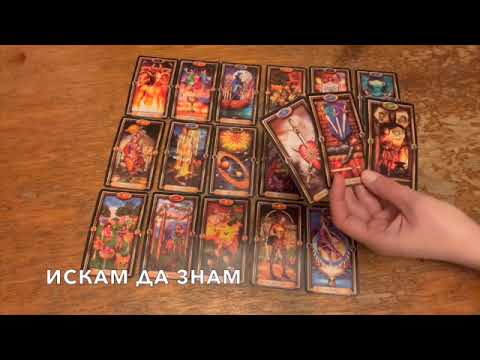 Видео: Къде е истината?