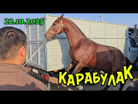 Видео: КАРАБУЛАК МАЛ БАЗАР.ЖЫЛҚЫ БАҒАСЫ