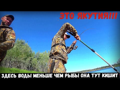 Видео: ЗДЕСЬ ВОДЫ МЕНЬШЕ ЧЕМ ЩУКИ!!! ЭТО ДИКИЙ ЖОР НА КАЖДОМ ЗАБРОСЕ! ЭТО Якутия!!!