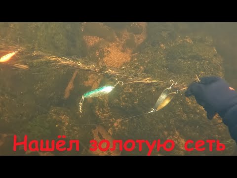 Видео: Браконьерская сеть-ГОРЕ рыбакам, подвохам-ОГРОМНОЕ СЧАСТЬЕ / Poaching net - woe to fishermen