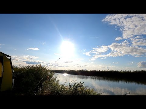 Видео: Карась за 500... км. НСО, осень