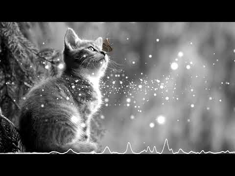 Видео: Шура - Твори добро (Slowed & Reverb) Remix