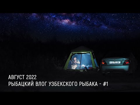 Видео: РЫБАЛКА В УЗБЕКИСТАНЕ СО СПИННИНГОМ:  Конец Августа, Сырдарья, Шурузяк, по рекам и каналам.