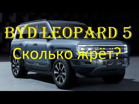 Видео: BYD Leopard 5 расход топлива