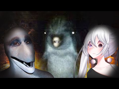 Видео: Виртуальный блогер узнает, почему дельфины — ЗЛО! | Casual Geographic