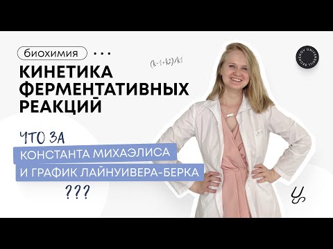 Видео: Биохимия | Кинетика ферментативных реакций: константа Михаэлиса и график Лайнуивера-Берка