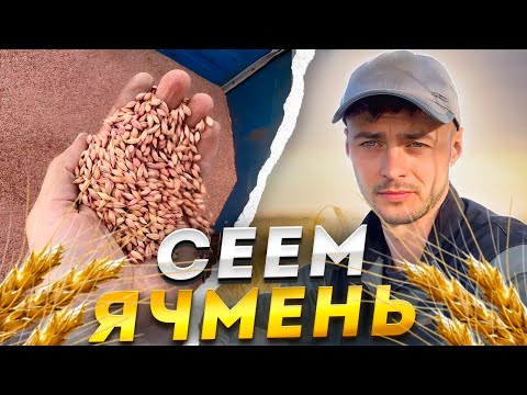 Видео: Ячмень в сухую землю | Сев