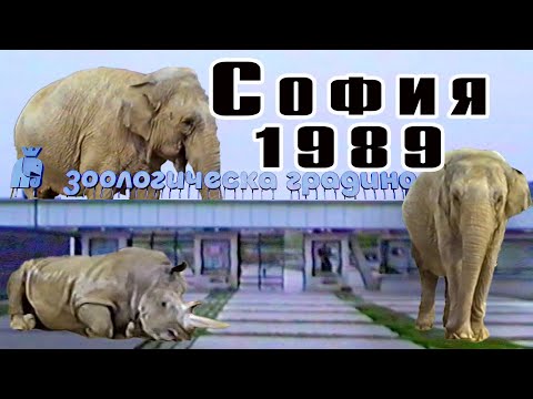 Видео: Зоологическа градина София (1989) – Архивни VHS кадри | Слонове, Тигри, Маймуни и още