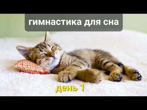 Видео: Гимнастика для сна 1
