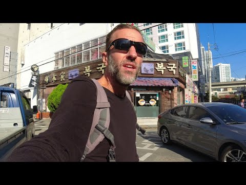 Видео: Первые впечатления о Южной Корее | Город-призрак?