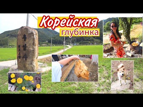 Видео: Поймали курицу и приготовили плов на костре ^^ KOREA VLOG