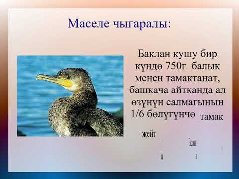 Видео: 6 класс Математика  Ортоломонун аныктамасы Сандардын ортоломосун табуу