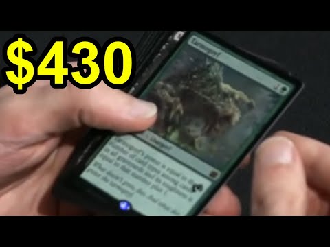 Видео: Скандал Тармогойфа