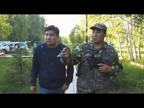 Видео: Большие города. Катон-Карагайский район