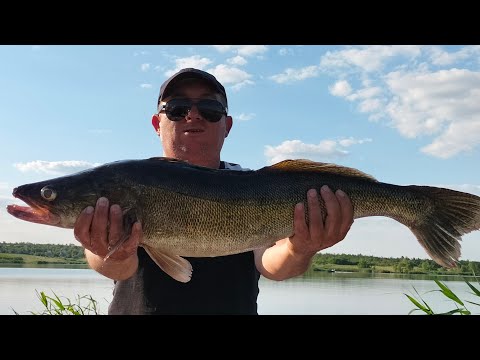 Видео: Ошибки и ответы начинающим рыбакам.