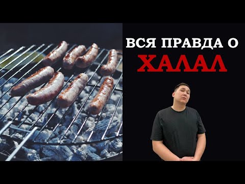 Видео: Вся правда о Халал. Инфраструктура качества