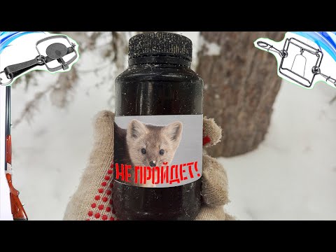 Видео: Испытание Секретной Приманки Из Тюбика | Охота На Соболя
