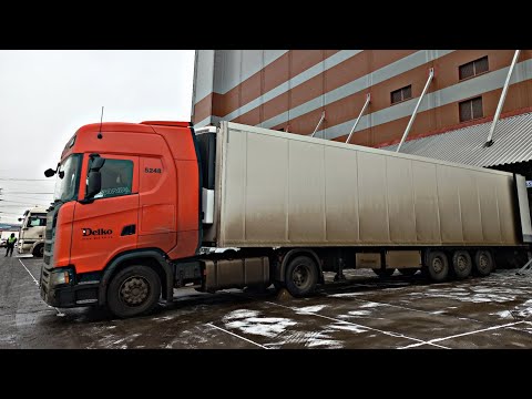 Видео: Опоздал на выгрузку🤦‍♂️ Аварии‼️Дальнобой🚚Scania S500🤟