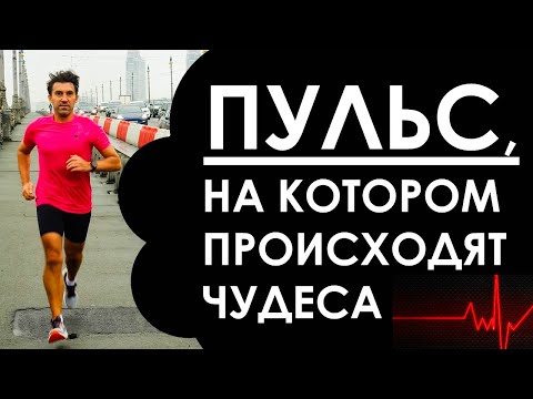 Видео: 1-й аэробный порог. Пульс, на котором в спорте происходят чудеса