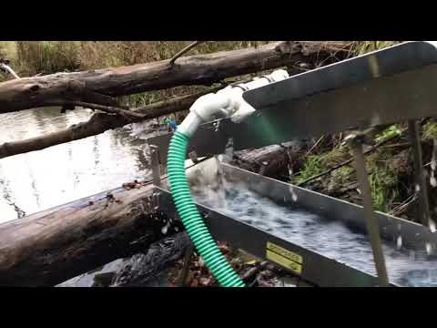 Видео: мини-драга Дипсис 20/25+25