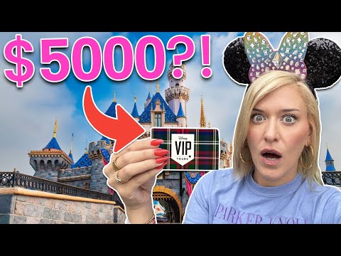 Видео: Мы потратили 5000 долларов (!!) на VIP-тур в Диснейленде | Список желаний для посещения тематичес...