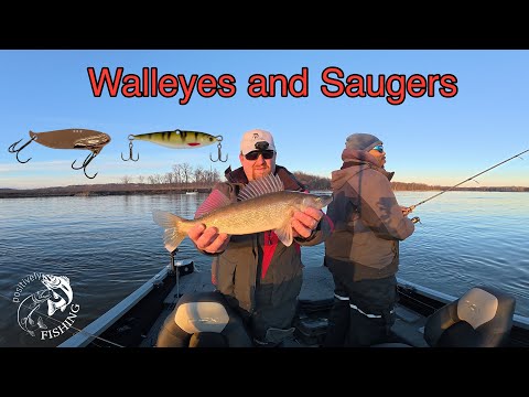 Видео: Судаки и судаки ранней весной на реке Миссисипи