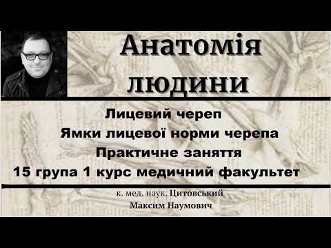 Видео: Лицевий череп Ямки лицевої норми черепа    Практичне заняття 15 група 1 курс медичний факультет