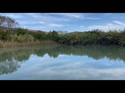 Видео: Бесплатное озеро.