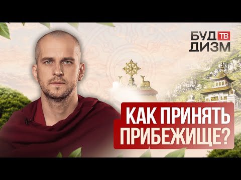 Видео: Выпуск 48 — Как принять прибежище?