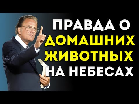 Видео: 6 Знаков, Что Ты Отправишься В Рай После Смерти — Посмотри Пока Не Слишком Поздно  Послание